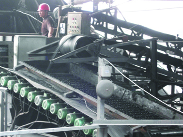 WQT型球團(tuán)圓輥篩現(xiàn)場使用圖