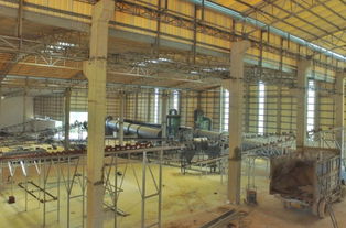 有機肥界迎來巨無霸,國內首個世界級的有機肥廠在新興建成投產