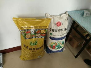 耕耘正當(dāng)時 四 什么樣的春管讓河南小麥穩(wěn)坐全國第一