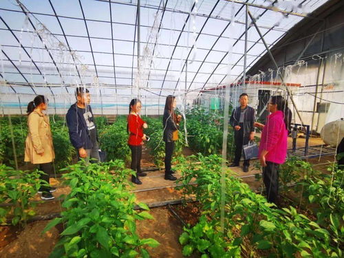 廣饒 加快農業高質量發展 推進鄉村振興惠民生