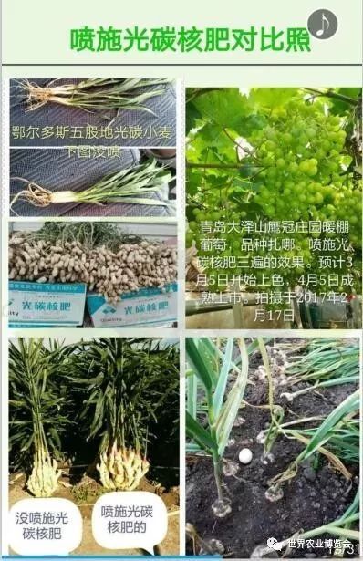 首屆黃淮海農資英雄榜揭曉 春秋季農作物高產配套肥料品牌產品上榜名單暨觀摩展示 40家