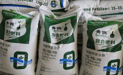 青島市供銷社:推廣托管服務(wù),50萬畝土地由"保姆"來管