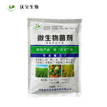 2021年微生物肥料市場(chǎng)行情深度解析 價(jià)格、報(bào)價(jià)與批發(fā)渠道探秘